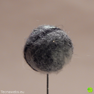 bolas de lana gris afieltrada