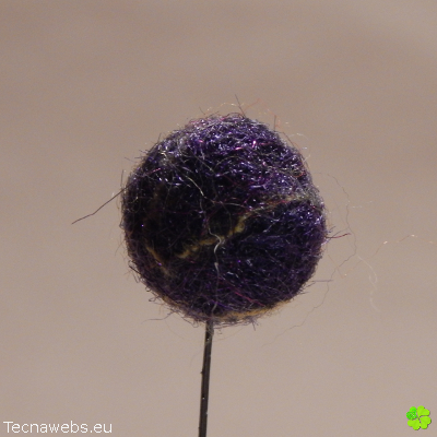 bolas de lana morado oscuro afieltrada