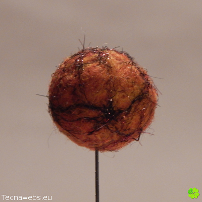 bolas de lana naranja calabaza afieltrada