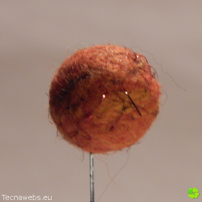 bolas de lana naranja calabaza afieltrada