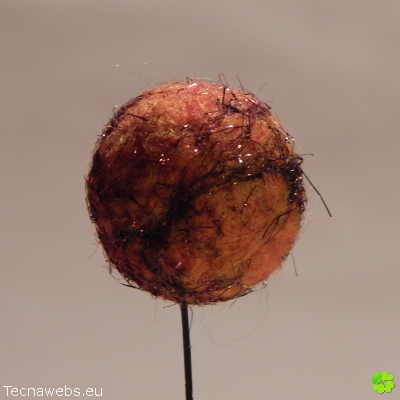 bolas de lana naranja calabaza afieltrada