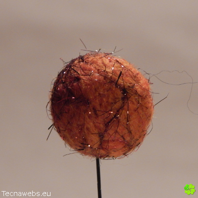 bolas de lana naranja calabaza afieltrada