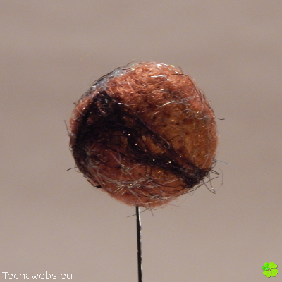 bolas de lana naranja teja afieltrada