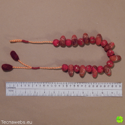 collar rojo ardiente de lana afieltrada con referencias