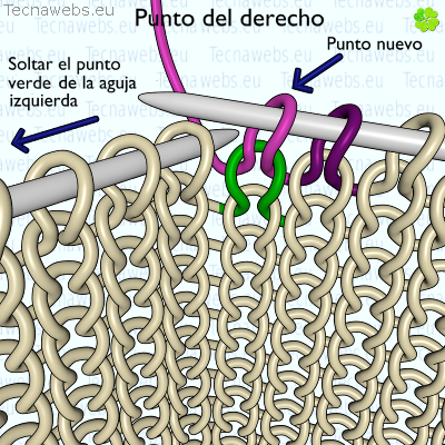 punto del derecho, paso 4